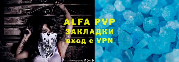 прущие грибы Сатка