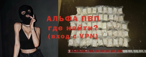 прущие грибы Сатка