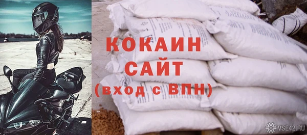 прущие грибы Сатка