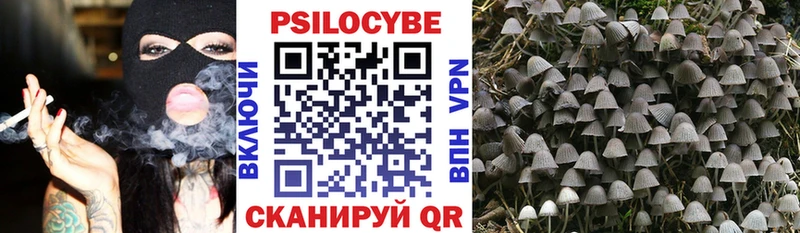 Псилоцибиновые грибы MAGIC MUSHROOMS Зерноград